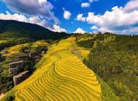 非遺+山水火熱出圈，廣西包車(chē)旅游迎來(lái)新高峰！